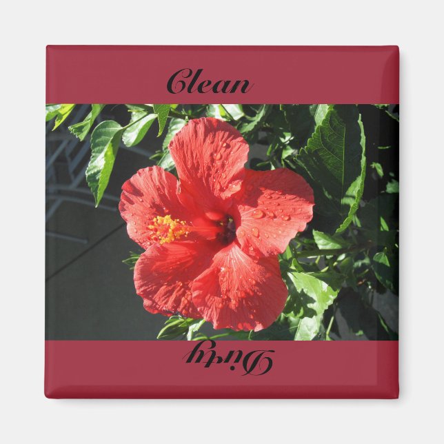 Íman limpo, sujo (Frente)