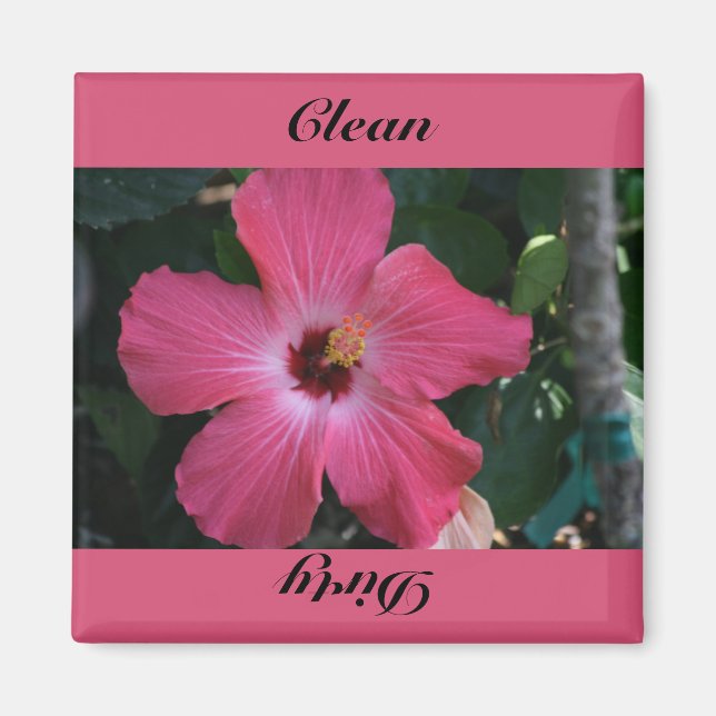 Íman limpo, sujo (Frente)