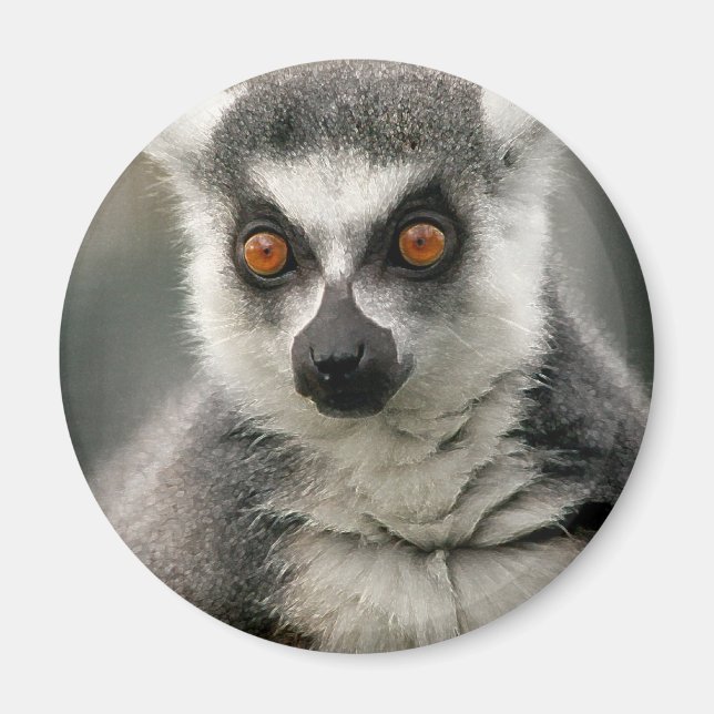 Íman Limur (Frente)