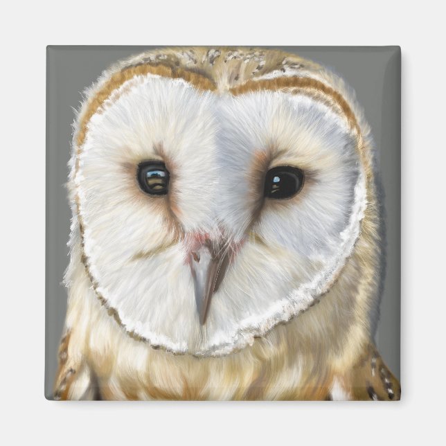 Íman Linda Coruja-do-celeiro (Frente)