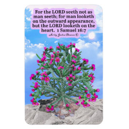Íman Linda Escritura de Cholla Cactus 1 Samuel 16:7