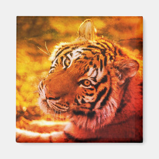 Íman Linda Expressão de Tigre Temporária.