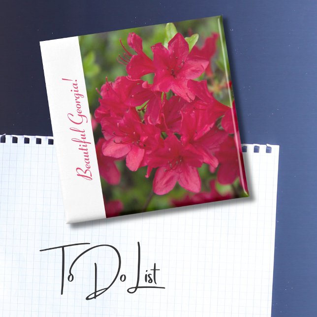 Íman Linda Flor de Estado Georgia~ Azalea (Criador carregado)