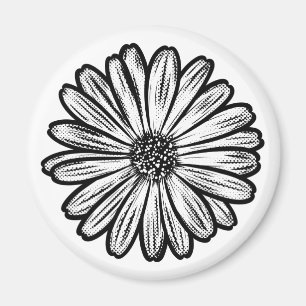 Íman Linda Flor de Margarida, Ilustração de Meio-Tons