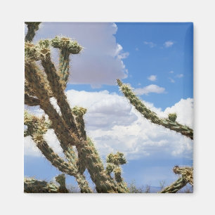 Íman Linda Foto De Cactus No Deserto