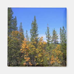 Íman Linda Hayfork, Califórnia...