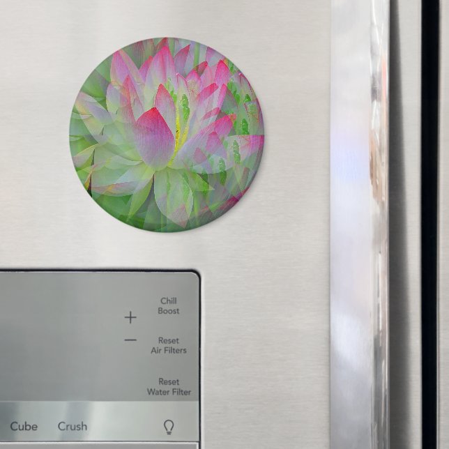 Íman Linda Lotus....... (In Situ (Fridge))