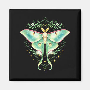 Íman Linda Mariposa Luna Maravilhosa Borboleta Amante d