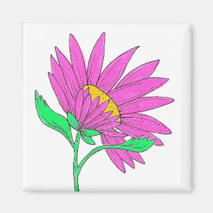 Íman Linda Pintura De Flor Acrílica Cor-de-rosa Whymisi