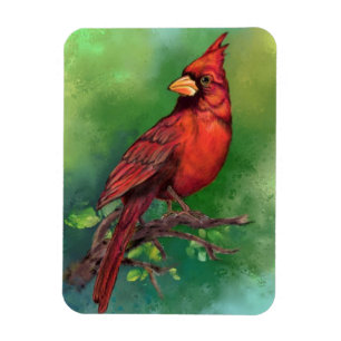 Íman Linda pintura de pássaro vermelho Norte