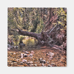 Íman Linda Primavera manhã....