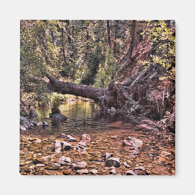 Íman Linda Primavera manhã.... (Frente)