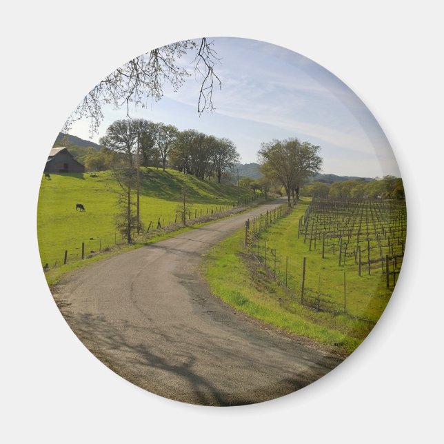 Íman Linda Vineyard em Napa Valley California (Frente)