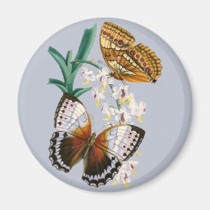Íman Linda Vintage Floral Butterfly Ilustração