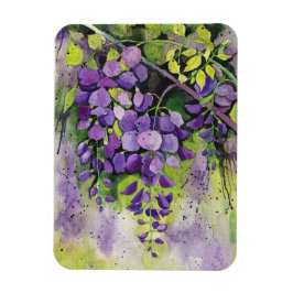 Íman Lindas Flores De Wisteria Em Aquarela