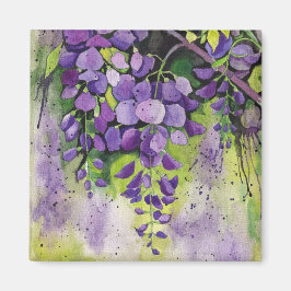 Íman Lindas Flores De Wisteria Em Aquarela