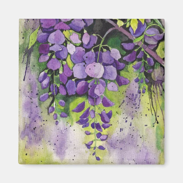 Íman Lindas Flores De Wisteria Em Aquarela (Frente)