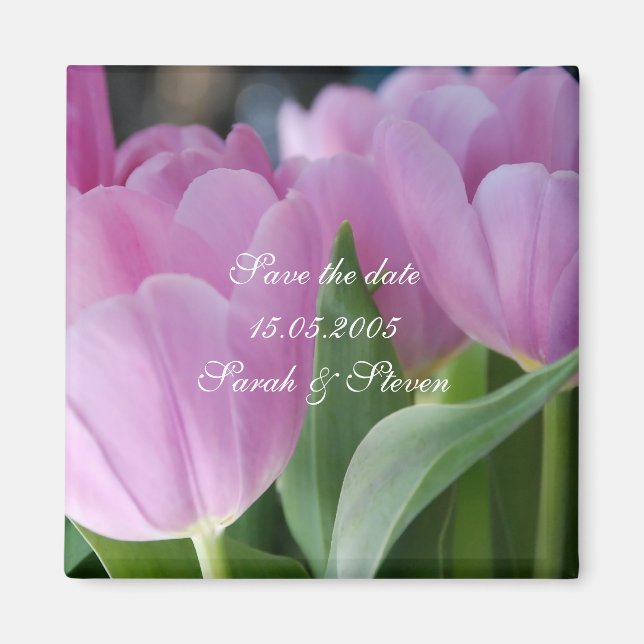 Íman Lindas Tulipas Rosa Salvem o ímã de data (Frente)