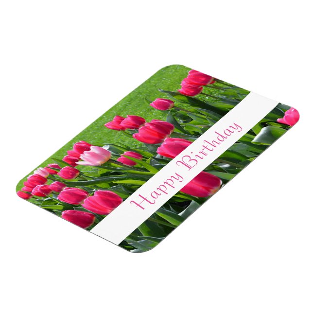 Íman lindíssimas flores de tulipa cor-de-rosa primavera (Left Side)