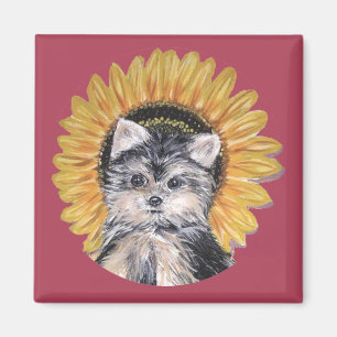 Íman Lindo cão Yorkshire Terrier