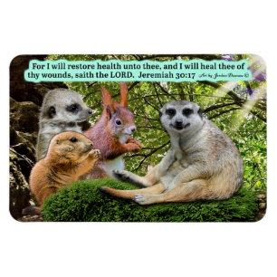 Íman Lindo Escritura de Curamento Magneta Jeremiah 30:1