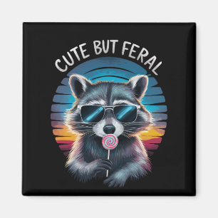 Íman Lindo Mas Feroz Guaxinim Engraçado