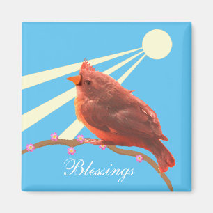 Íman Lindo Pássaro Cardinal em Azul Claro