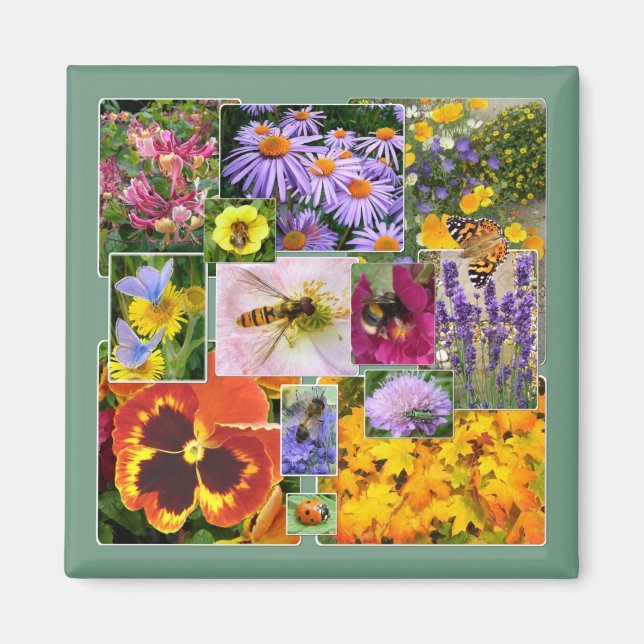 Íman Lindos Flores de Verão e Colagem de Insetos (Frente)