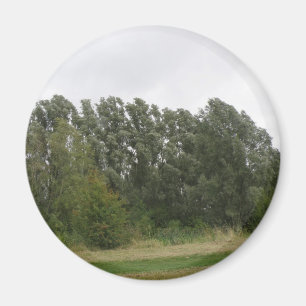 Íman Linha da Paisagem das Árvores de Manguarda