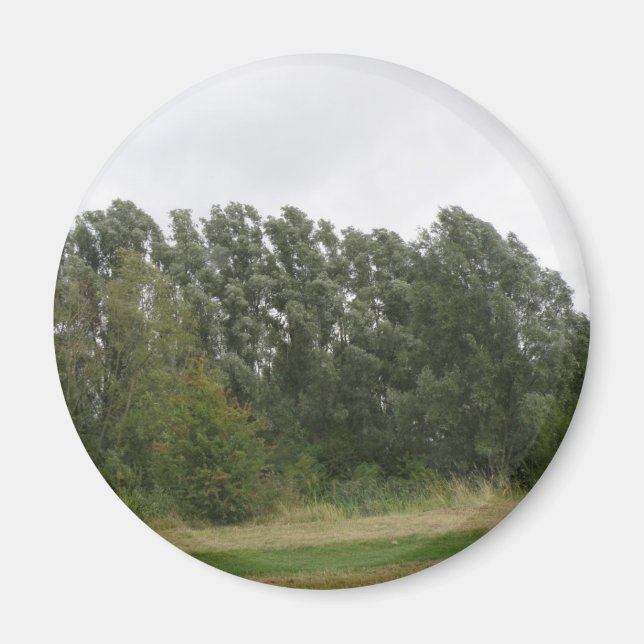 Íman Linha da Paisagem das Árvores de Manguarda (Frente)