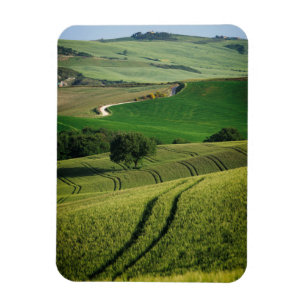 Íman Linhas Curvy no ímã vertical verde de Toscânia