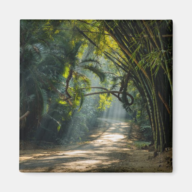 Íman Linhas de Bambu (Frente)