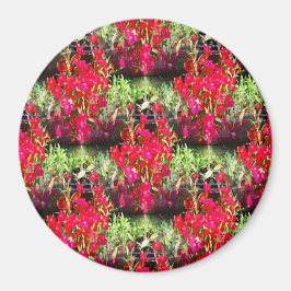 Íman Linhas de cravos...