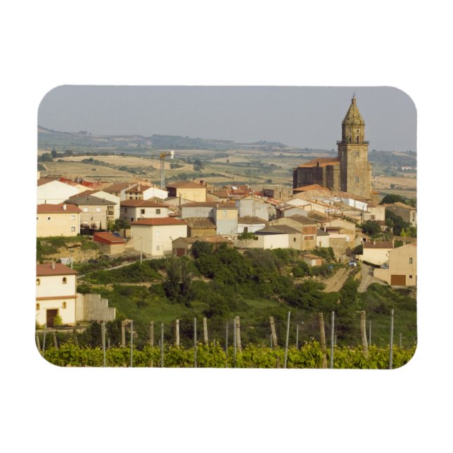 Íman Linhas de videiras de uva no primeiro plano (Horizontal)