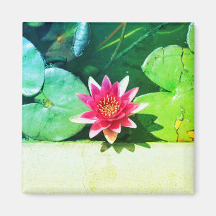 Íman Linho De Flores De Água Vermelhos Estilizada, Linh