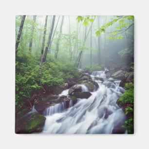 Íman Linn Cove Creek em cascata através da névoa