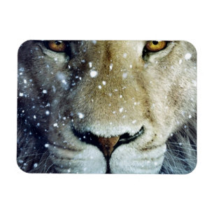 Íman Lion of Judah - Rastafara reggae Rasta íman -