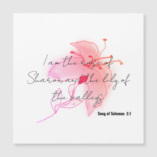 íman lírio cor-de-rosa