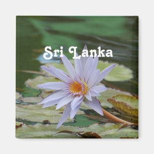 Íman Lírio de água de Sri Lanka