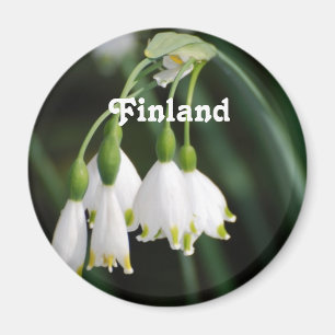 Íman Lírio de Finlandia do vale