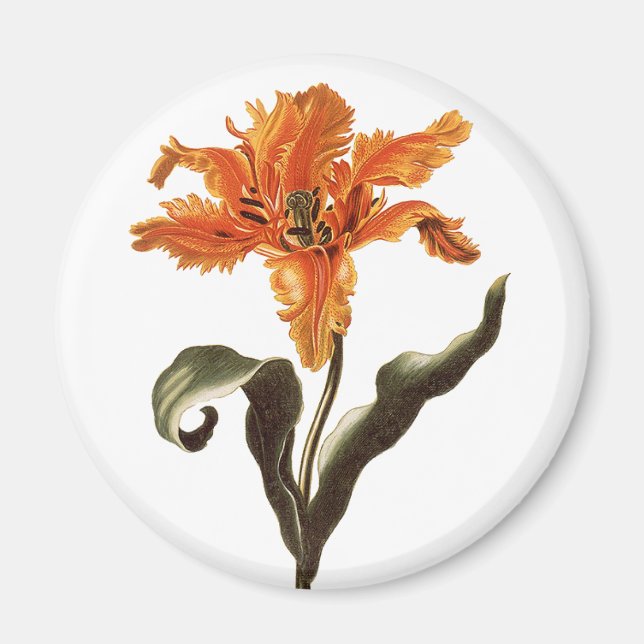 Íman Lírio Laranja Chique Antigo em Flor, Flores do Jar (Frente)