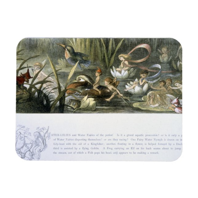 Íman Lírios-Água e Fadas-Água, ilustração de (Horizontal)