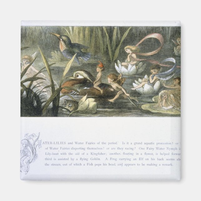 Íman Lírios-Água e Fadas-Água, ilustração de (Frente)