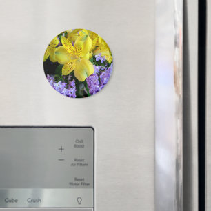 Íman Lírios Amarelos e Flores Lilases Roxos