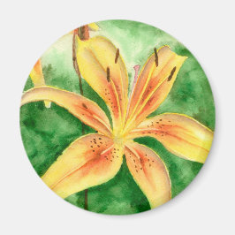 Íman Lírios amarelos no jardim