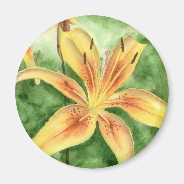 Íman Lírios amarelos no jardim (Frente)