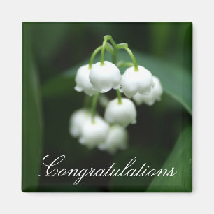 Íman Lírios brancos