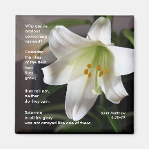 Lírios do campo - ímã