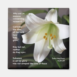 Íman Lírios do campo - ímã