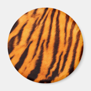 Íman Listras alaranjadas selvagens & vibrantes do tigre